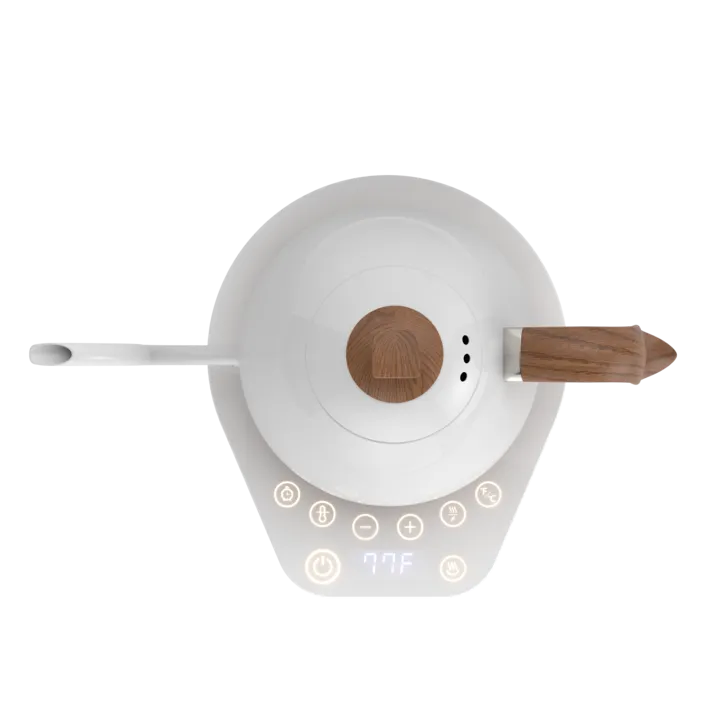 Brewista Artisan 1.0L Kettle - Pearl White