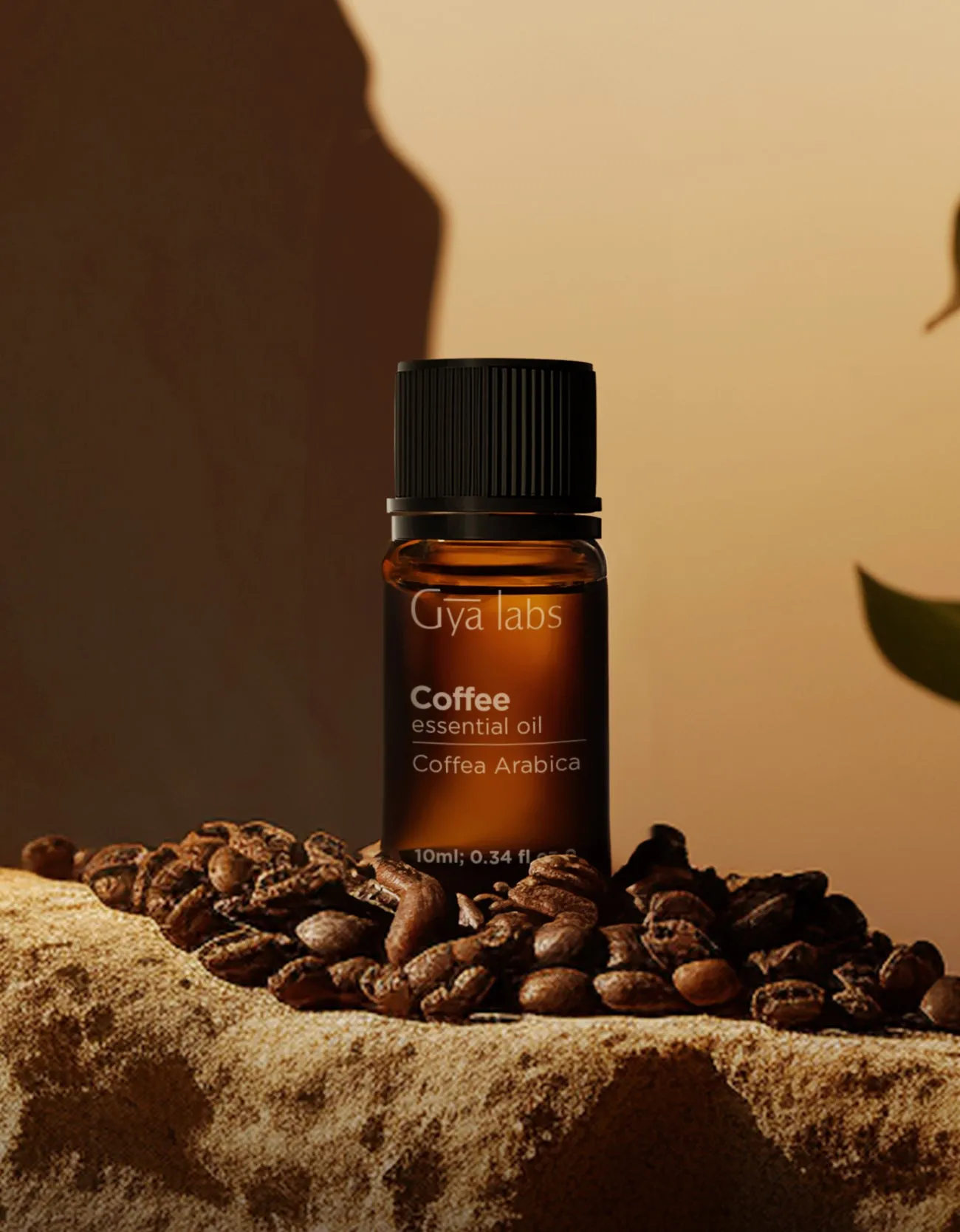 Coffee Oil