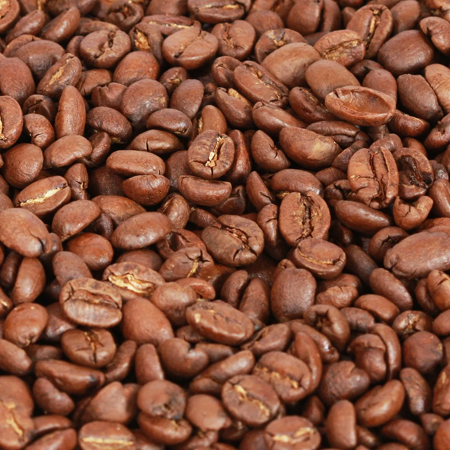 Kenya AA Beans